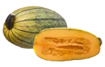 Spaghetti squash (cooked)