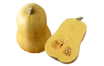 Butternut squash (cooked)