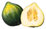 Acorn squash (cooked)