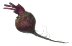 Beetroot (raw)