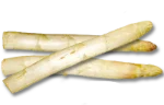 Asparagus (white)