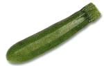 Zucchini