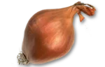 Onions