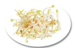 Mung bean sprouts