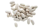 Navy beans (cooked)