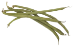 Green beans (cooked)