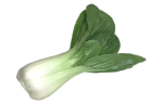 Pak choi