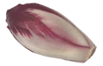 Radicchio