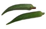 Okra