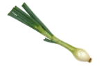 Spring onions
