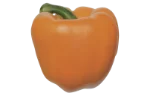 Bell pepper (yellow)