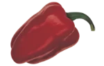 Bell pepper (red)