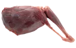 Roe deer