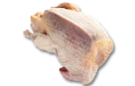 Quail