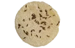 Sour milk cheese (4 weeks)