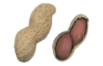 Peanuts