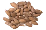 Barley