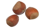 Hazelnuts