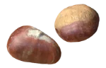 Chestnuts (roasted)