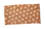 Crisp bread (whole wheat)