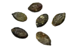 Pumpkin seeds (roasted)