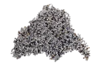 Poppy seeds