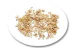 Sesame