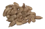 Sunflower seeds