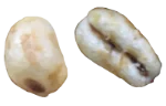 Puffed wheat