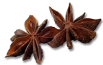 Anise seeds