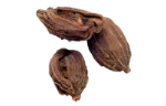 Cardamom