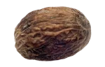 Nutmeg