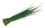 Chives
