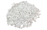 Sago (cooked)