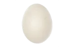 Duck egg