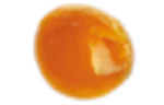 Egg yolk