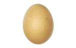 Egg (omega-3 enriched)