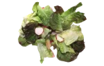 Mixed salad (without dressing)
