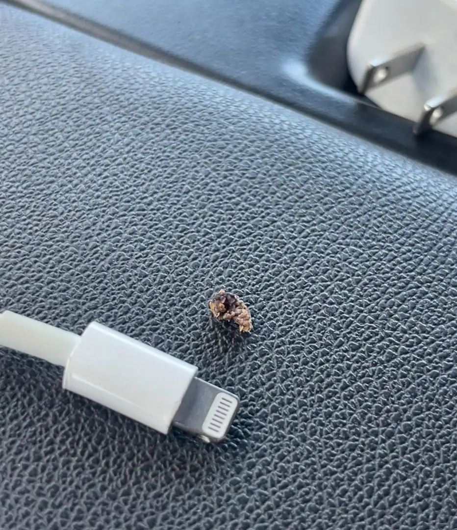 4.7mm wide 6mm long. — photo 1