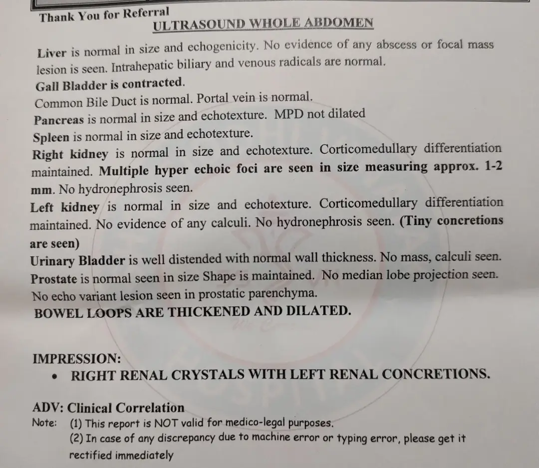 Kidney stone + fever — should I be worried?