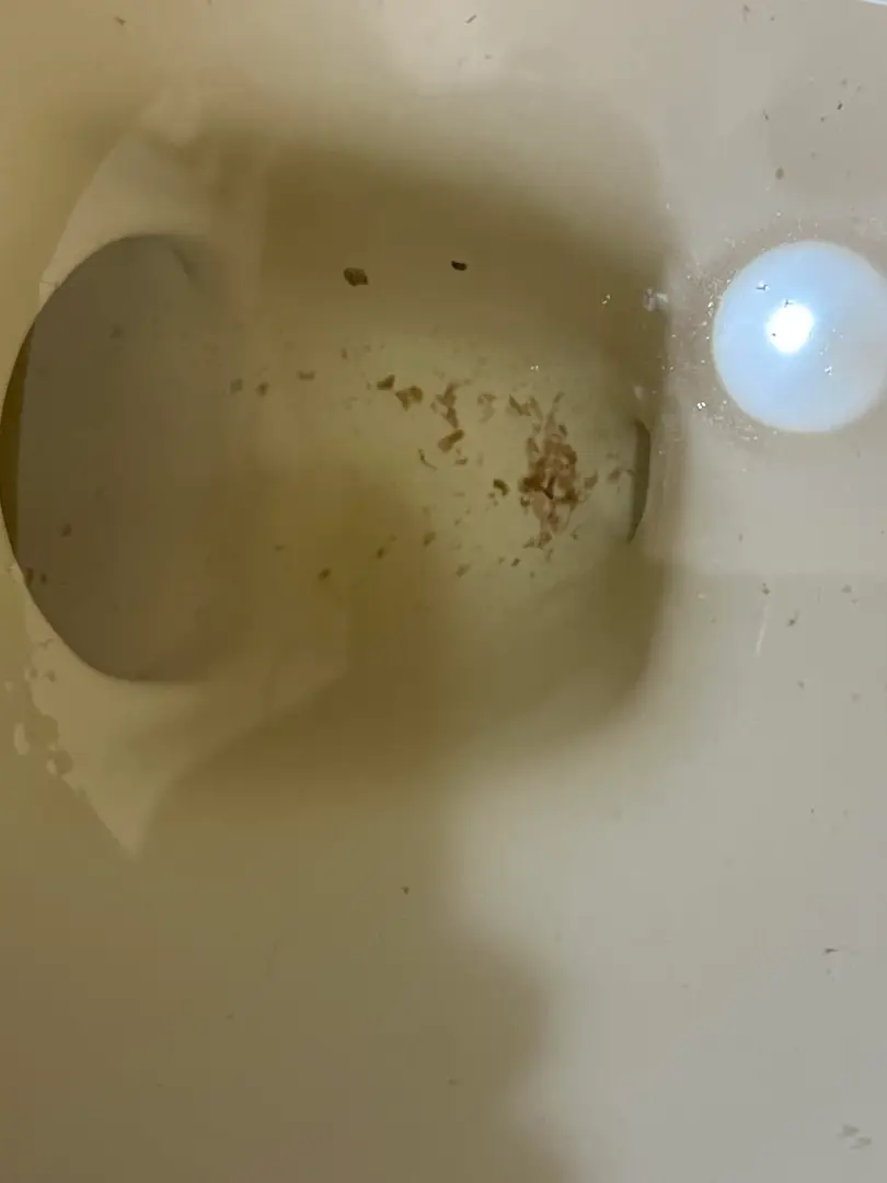 Has anybody ever passed this many at once? Any clue what kind they might be? — photo 2
