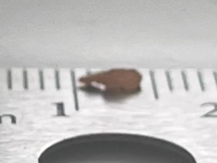 What size/type is my stone? — photo 2