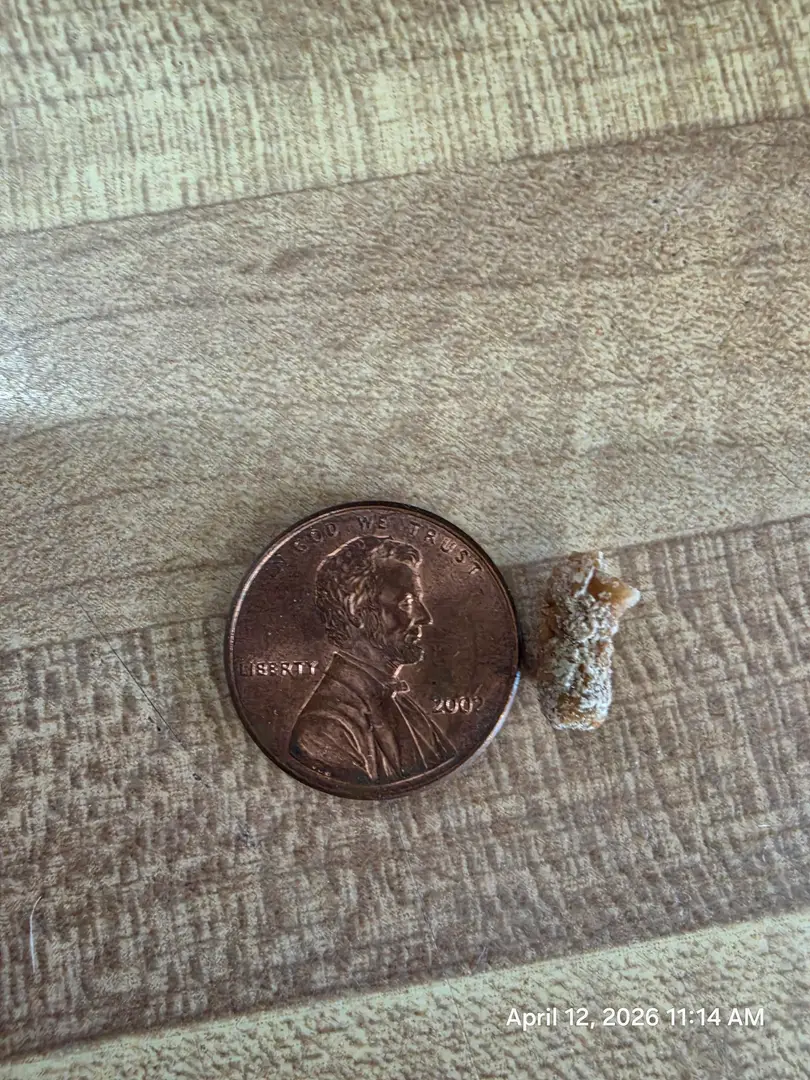 11mm passed this morning. — photo 2