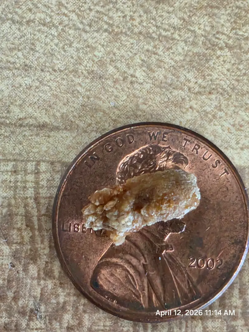 11mm passed this morning. — photo 3