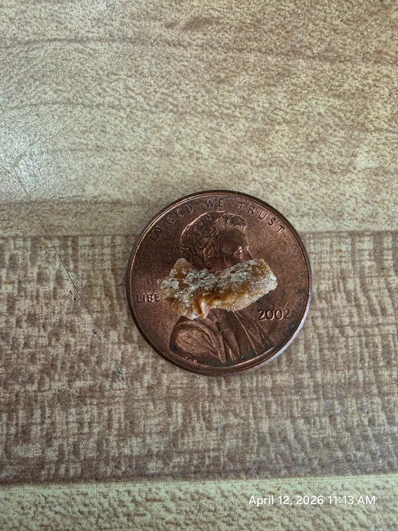 11mm passed this morning. — photo 5