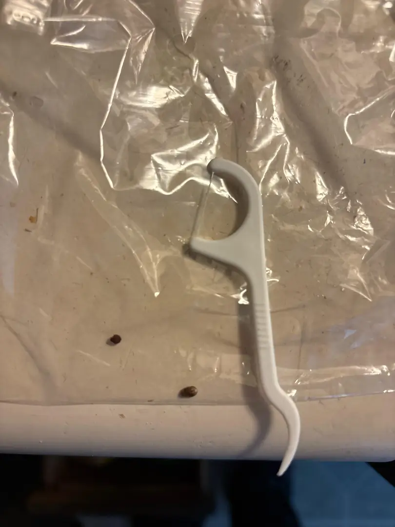 Passed 4mm — photo 1