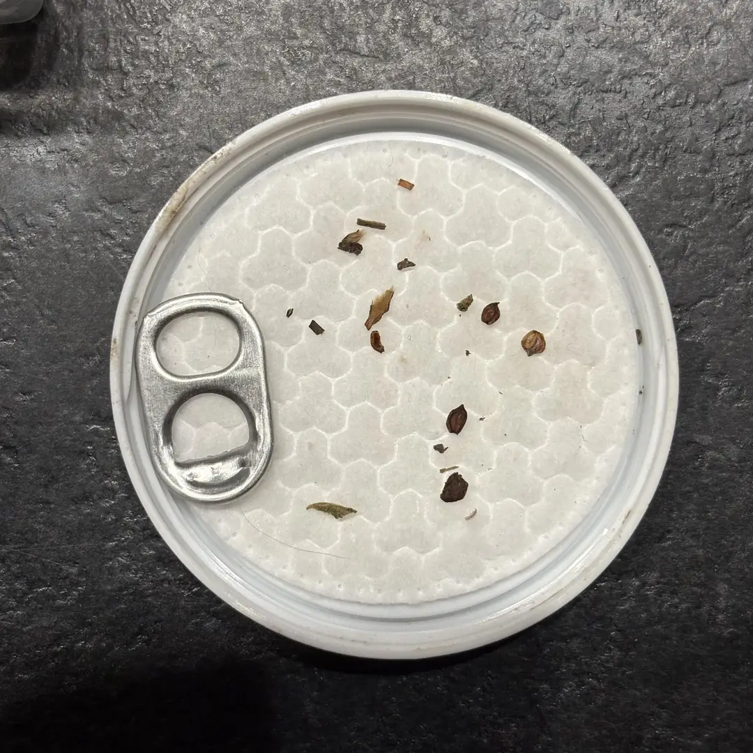 Anyone had or seen stones like these?