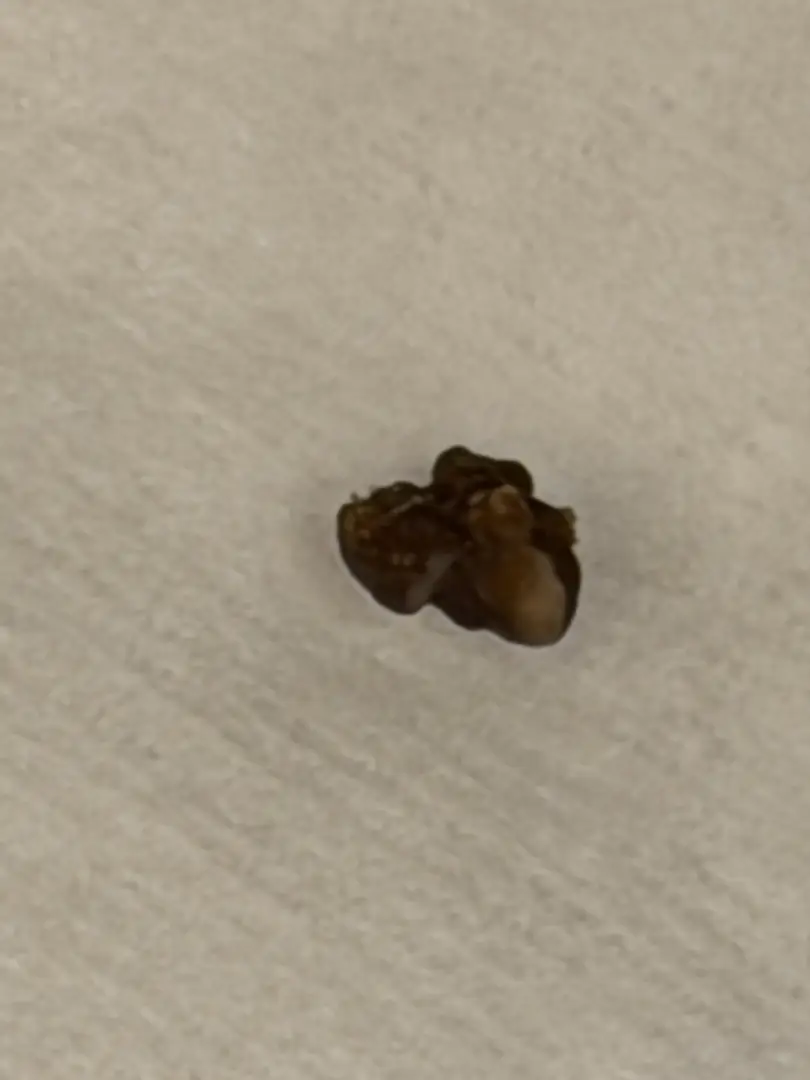 This little bugger came outta nowhere! — photo 1