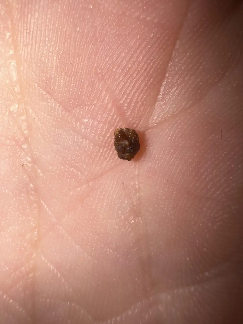 Just popped this out—while having covid! — photo 1